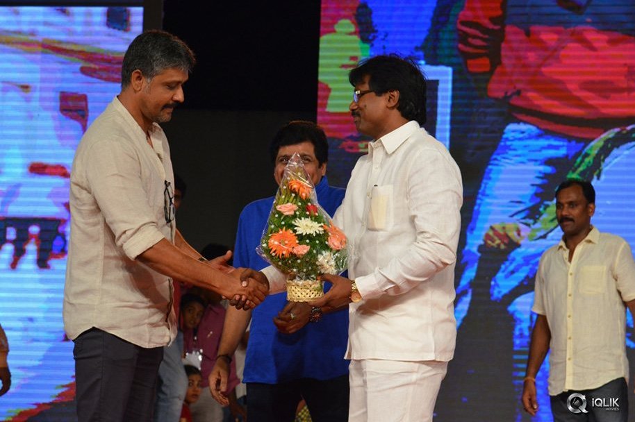 Son-Of-Sathyamurthy-Movie-Audio-Success-Meet